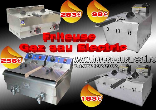 Friteuzse gaz sau electrice